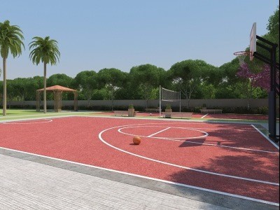 Basketball-Court