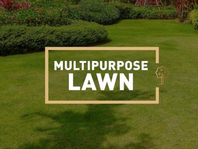 Multipurpose Lawn
